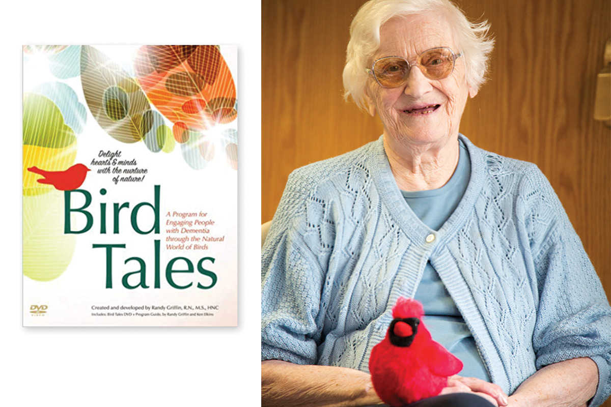 Bird Tales