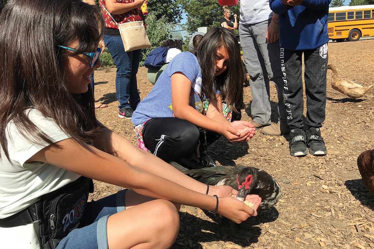 Kids connecting with farm animals