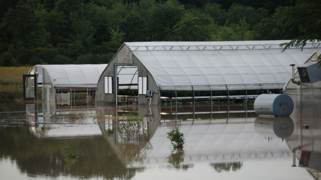Flooded Greenhouses