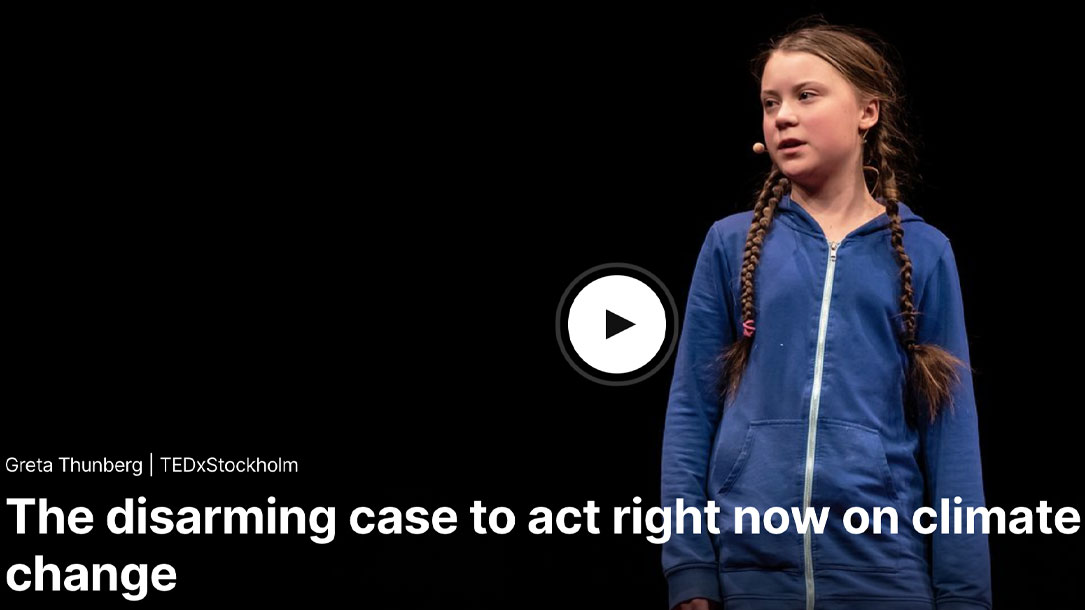 Greta Thunberg The Disarming Case To Act Now On Climate Change Ted Talk