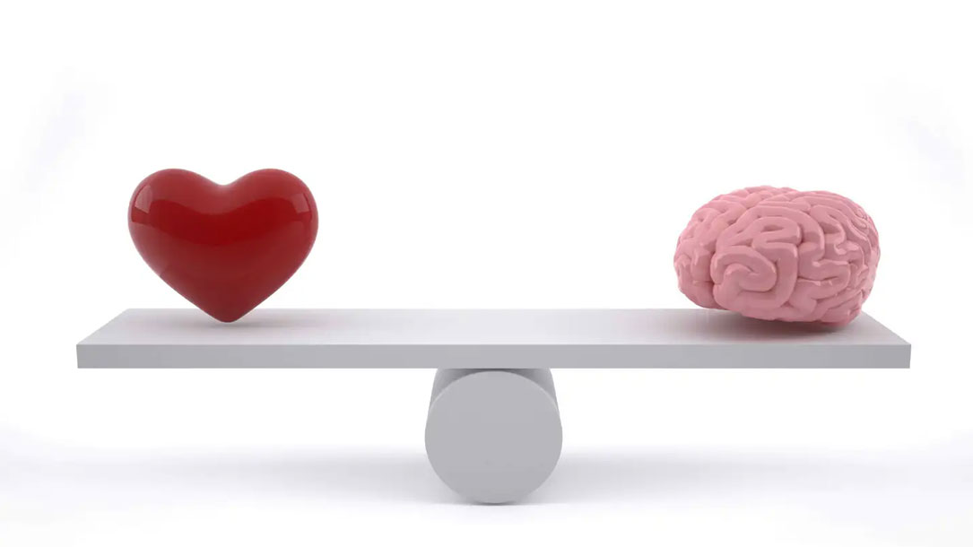 Heart And Brain On Scale by haryigit/Shutterstock.com