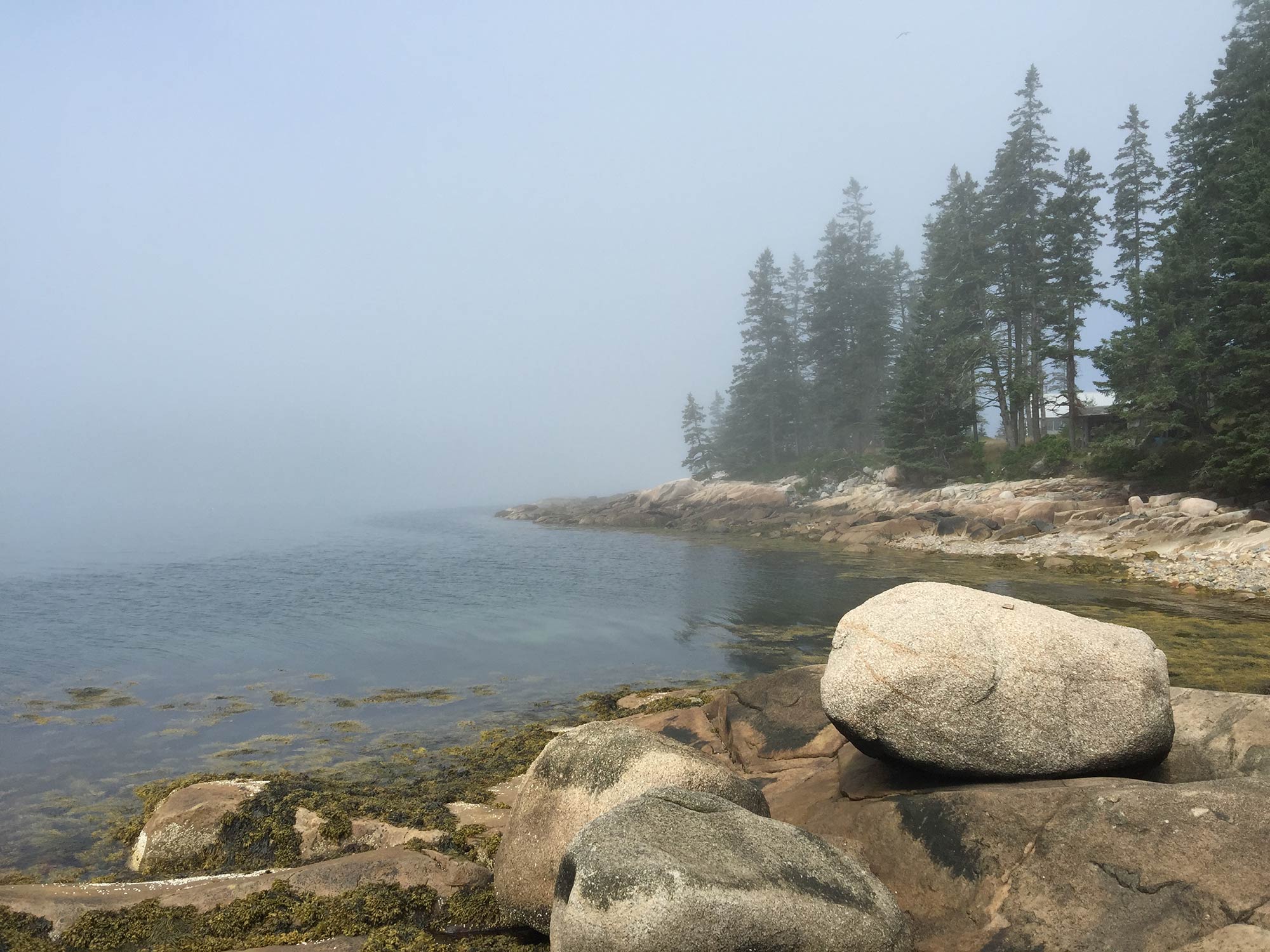 Maine coast fog