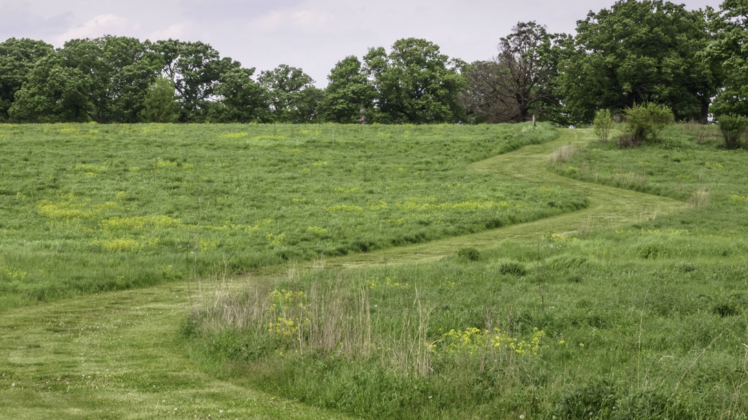 mowed trail