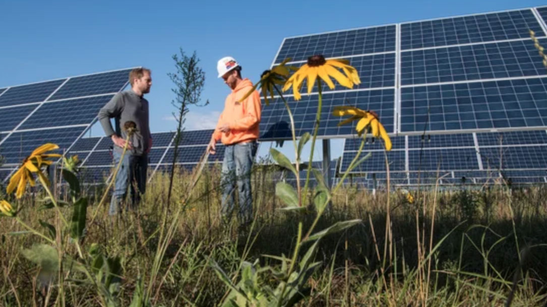 NREL Scientist Jordan Macknick And Jake Janski By Solar Panels