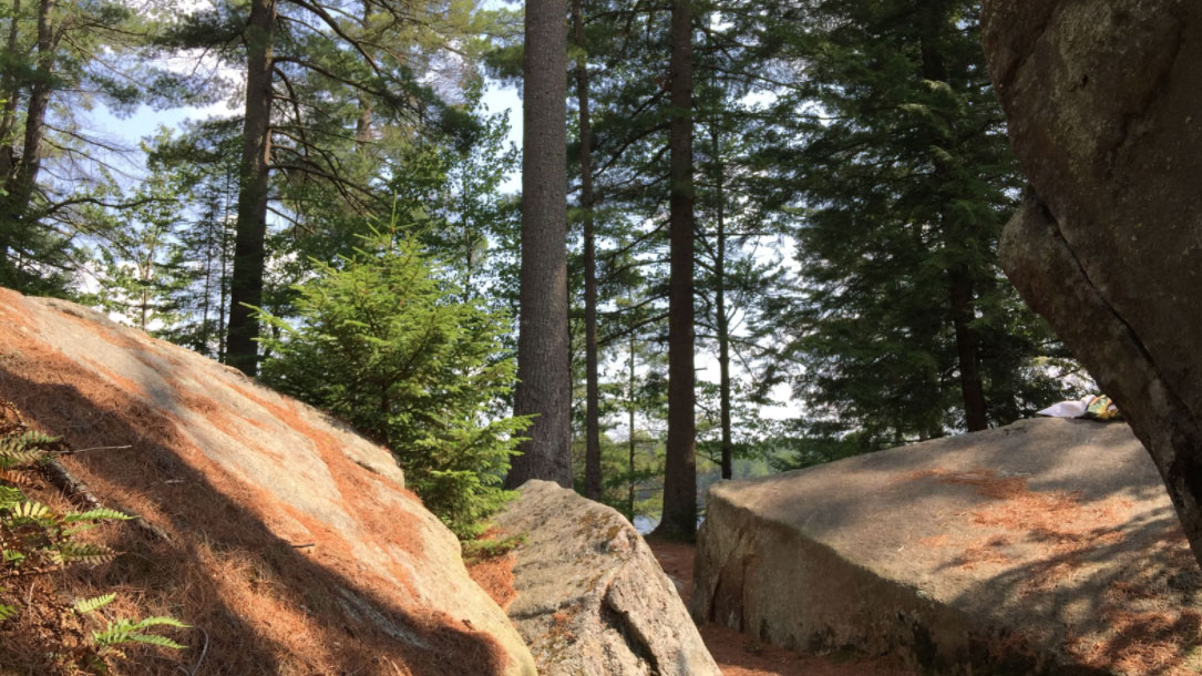 Rocks In The Forest With Sun
