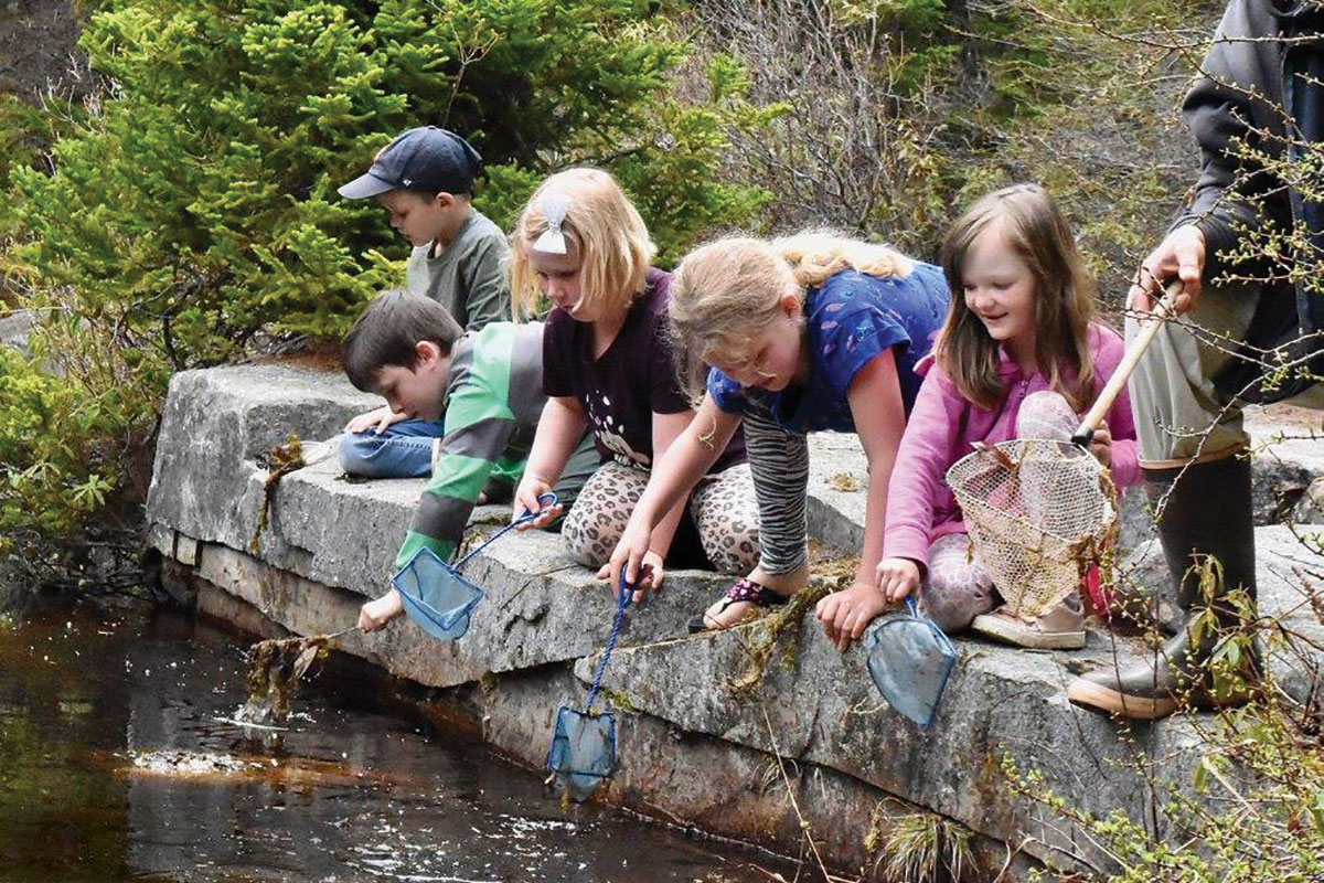 children Pond Scooping