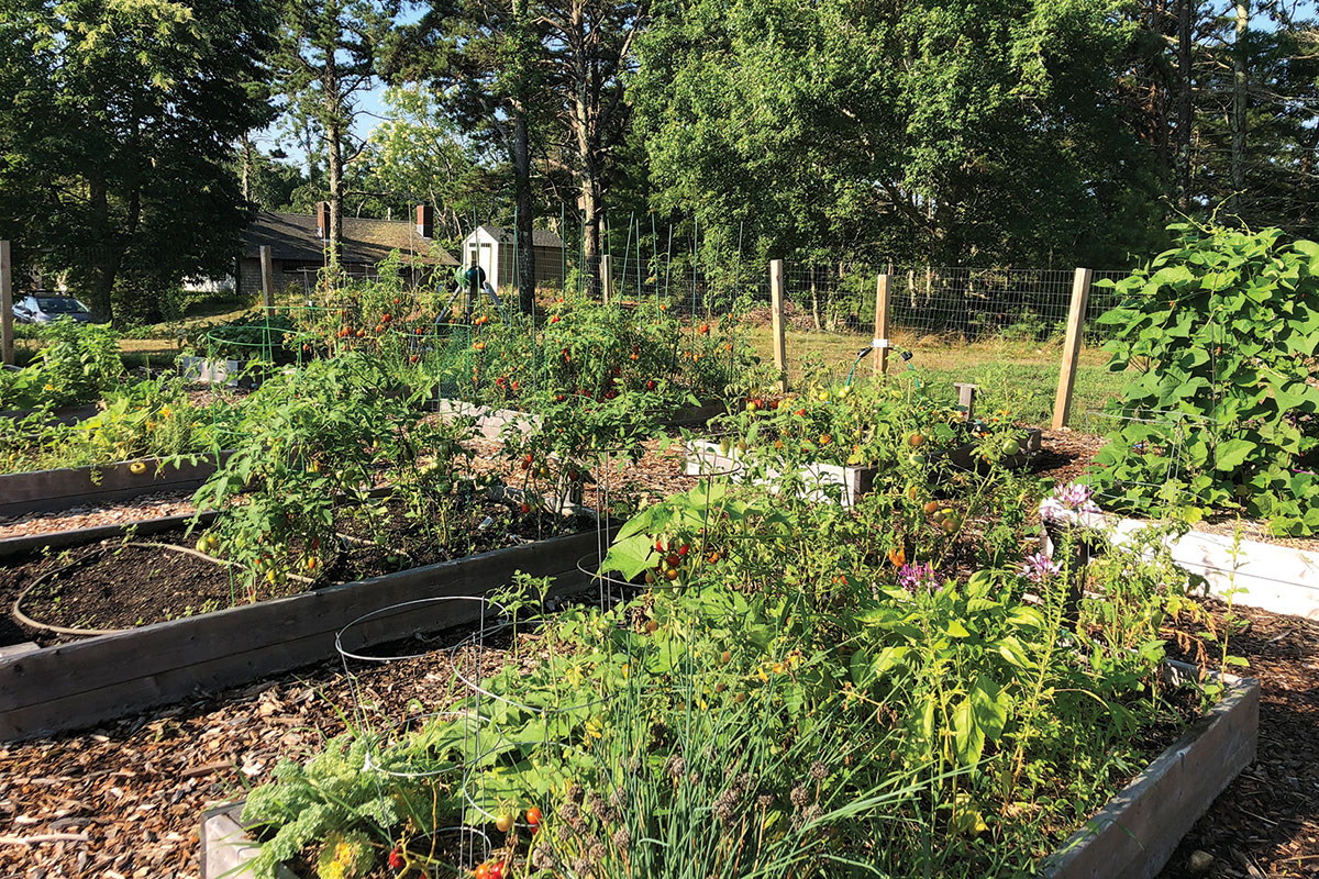 17-plot community garden