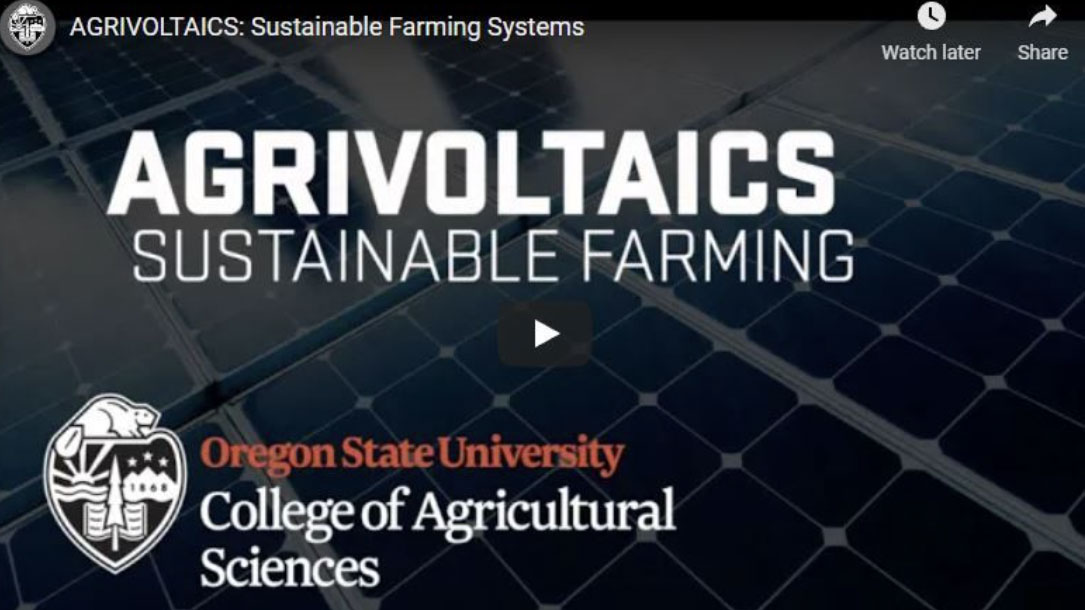 Agrivoltaics Screen Shot