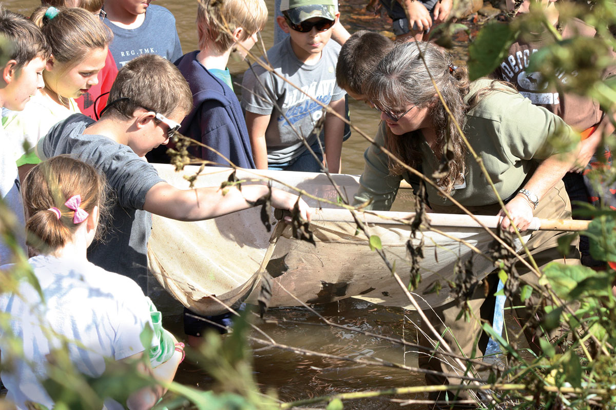 kids and staff investigating the bay