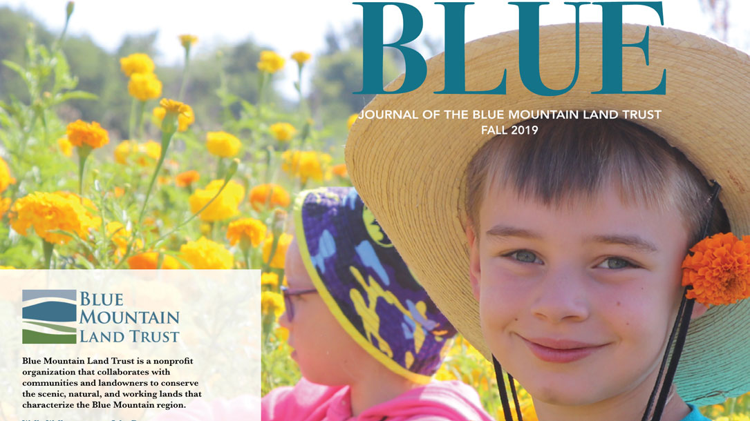 Blue Newsletter Cover