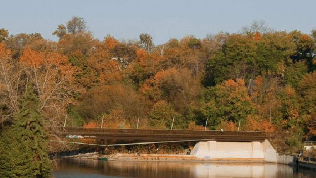 Bridge In The Fall