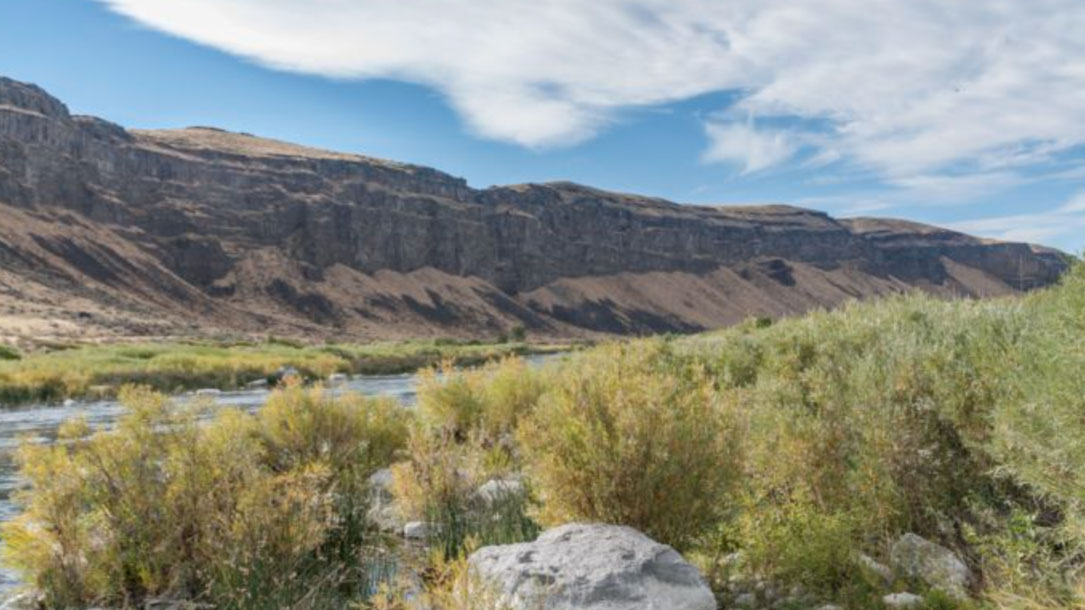 Canyon And River