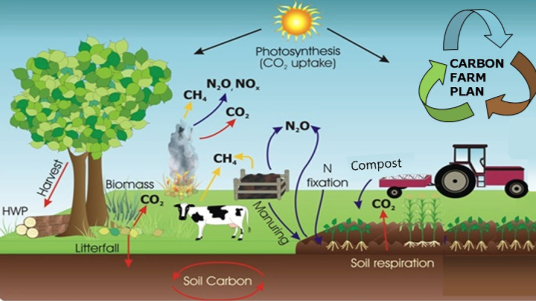 Carbon Farming Cycle