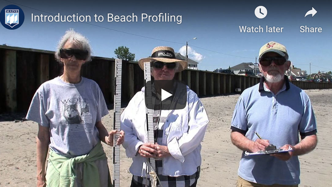 Citizen Science At The Beach