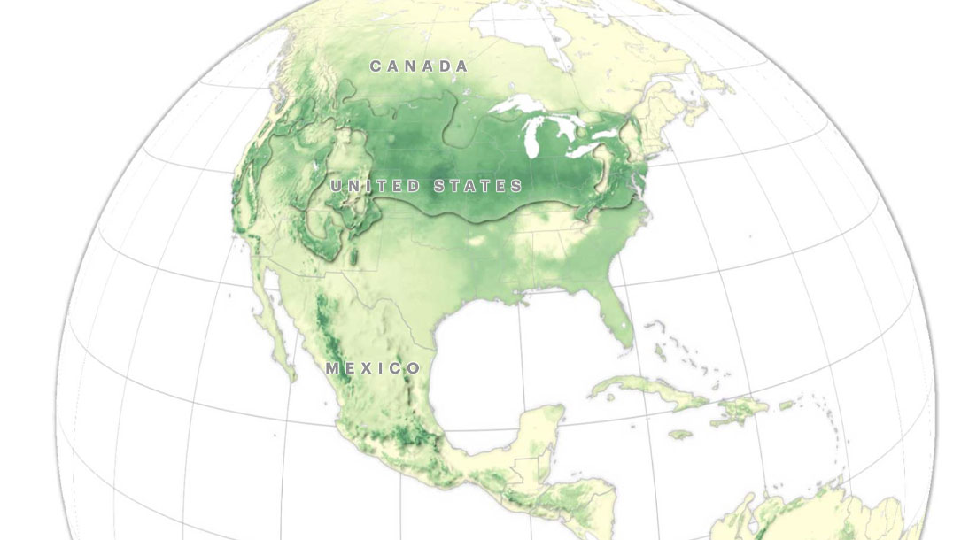 Climate Migration Map