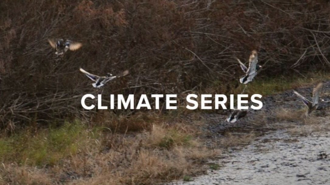 Climate Series