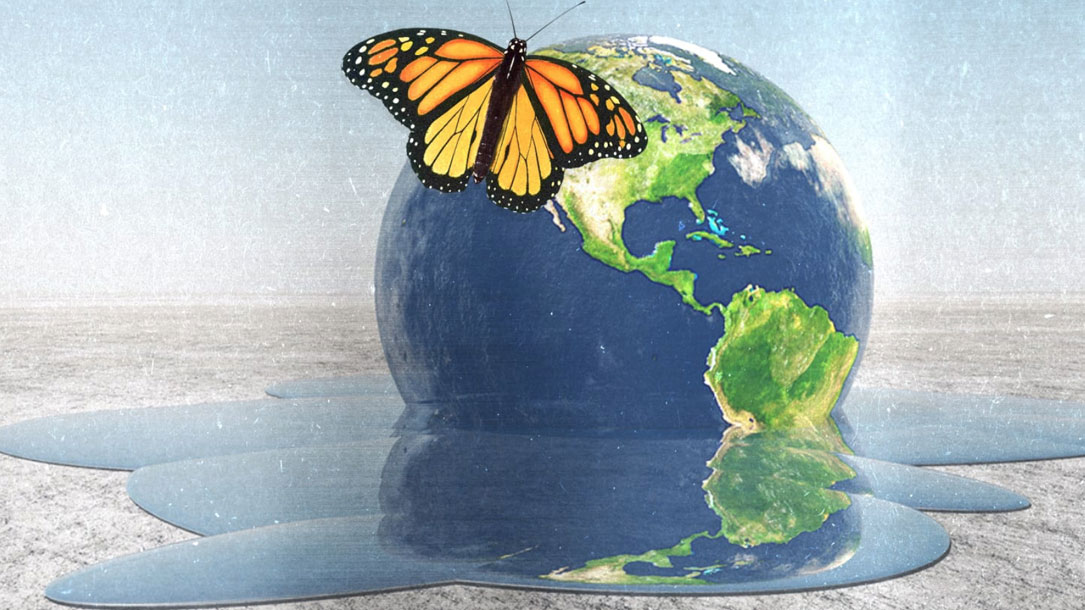 Daily Beast Butterfly On Melting World