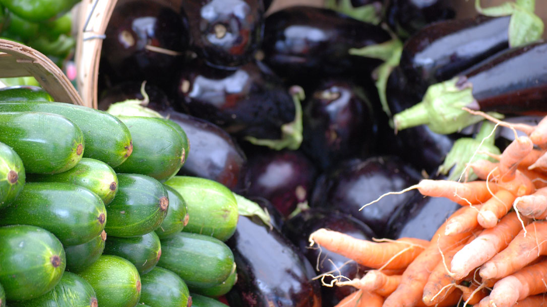 Eggplant Squash Carrots