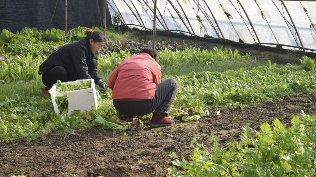 Female Farmers