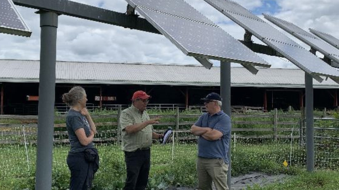 Folks And Solar