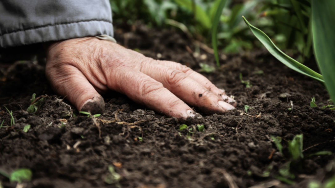 Hand On The Soil