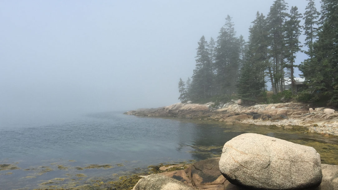 Misty Rocky Shore