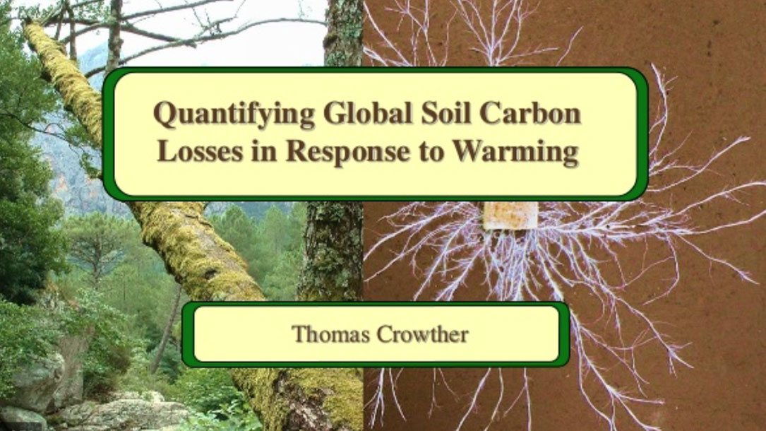 Quantifying Soil Carbon