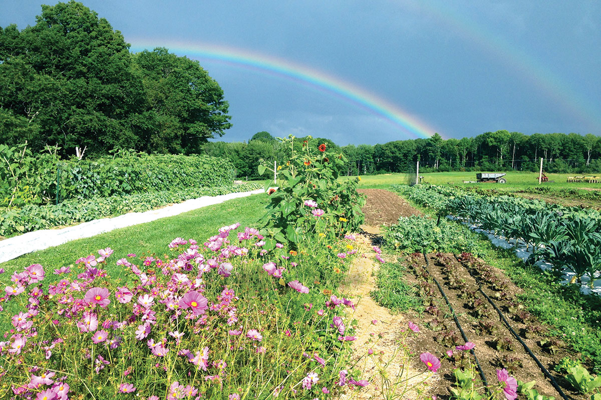 garden