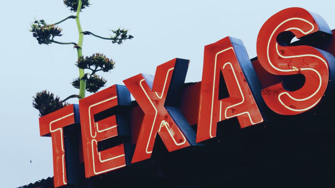 Texas Neon Sign