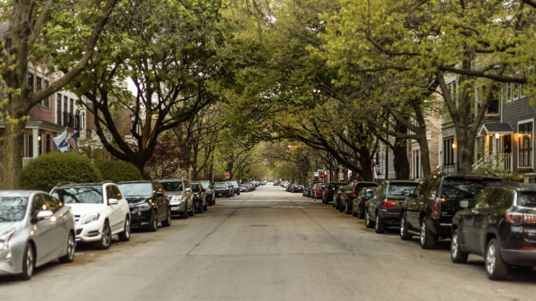 Urban Trees